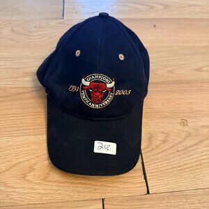Vintage Chicago Bulls Champions Hat – 10th Anniversary